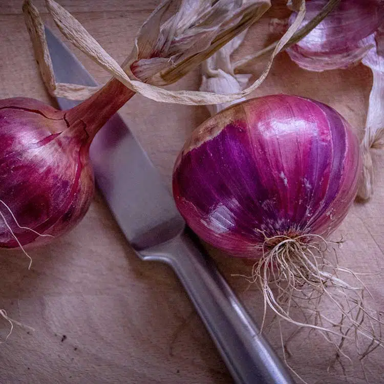 Oignons Le Saint-Turjan rosés sur une planche à découper 