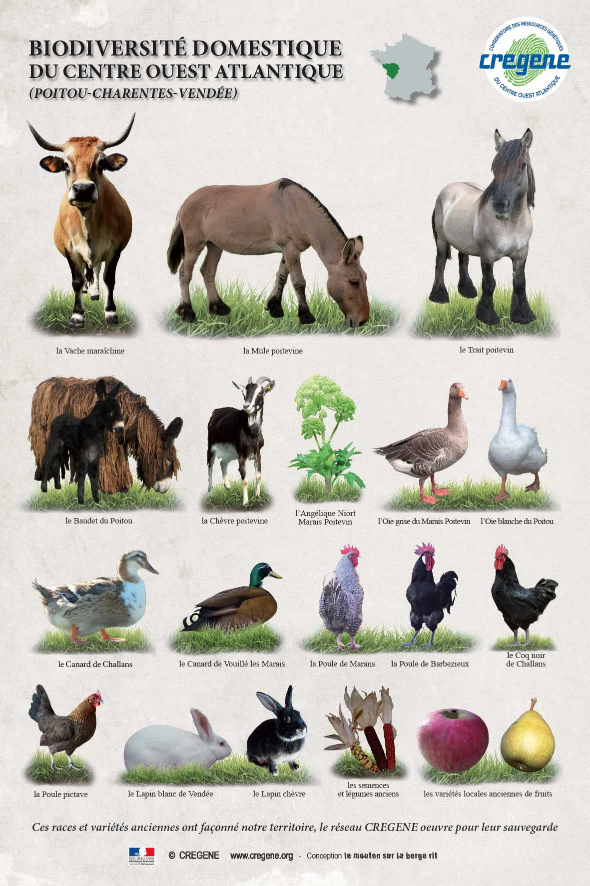 Affiche de la biodiversité domestique du CREGENE