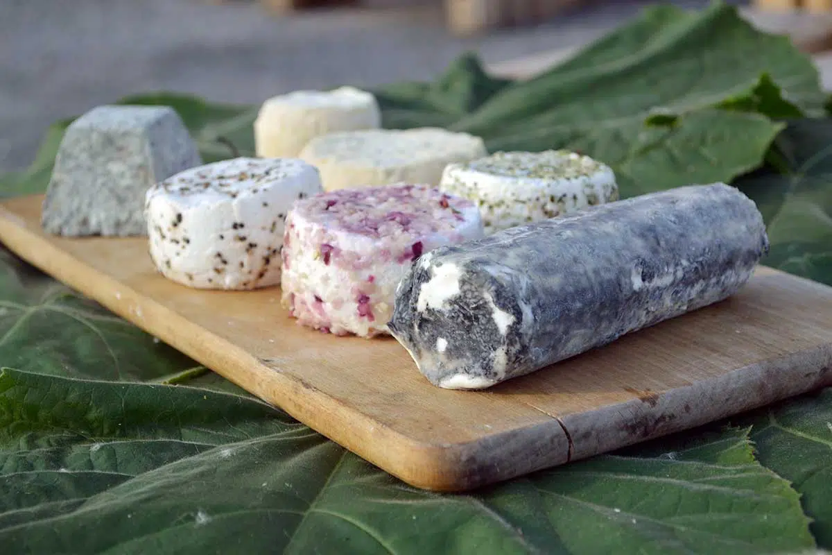 Plateau de fromages au lait de chèvres poitevines