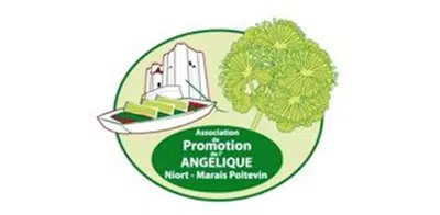Logo de l'angélique niort marais poitevin association adhérente du Cregene