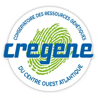 Cregene